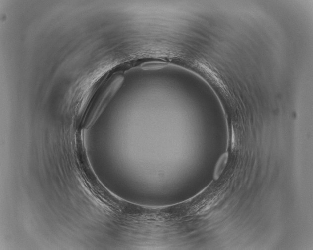 X0000087350627200704201123