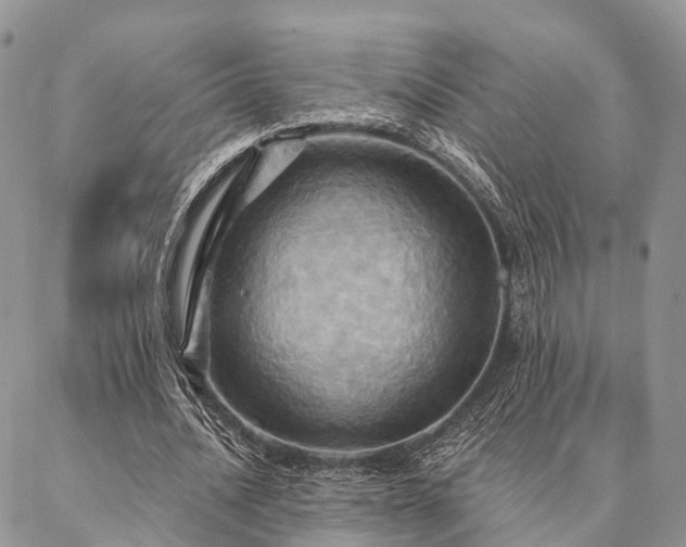 X0000087350628200704201123
