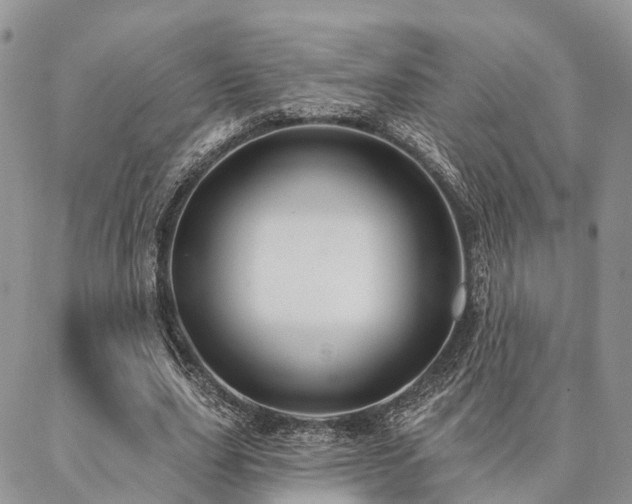 X0000087350631200704201123