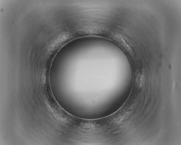 X0000087350635200704201123