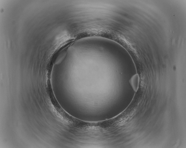 X0000087350637200704201123
