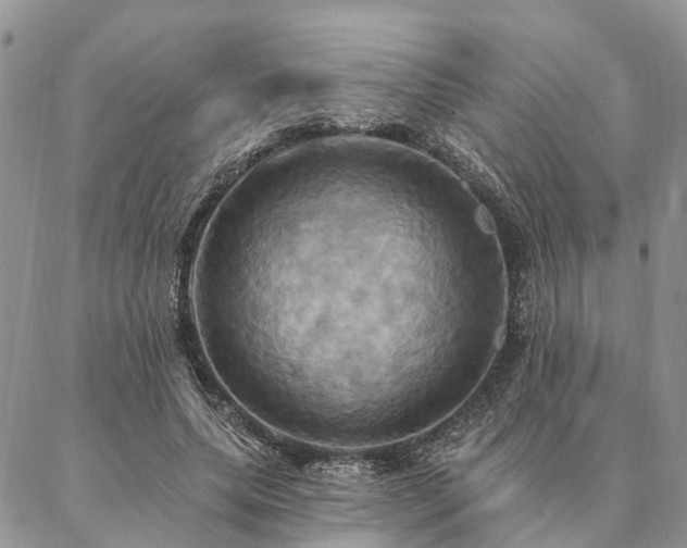 X0000087350639200704201123