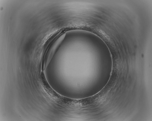 X0000087350640200704201123
