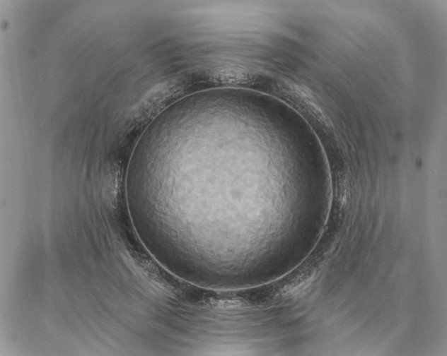 X0000087350645200704201123
