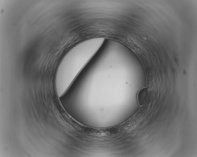 X0000087350646200704201123