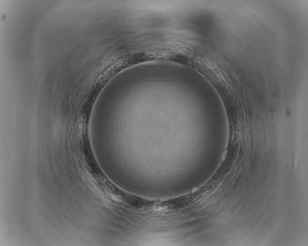 X0000087350647200704201123