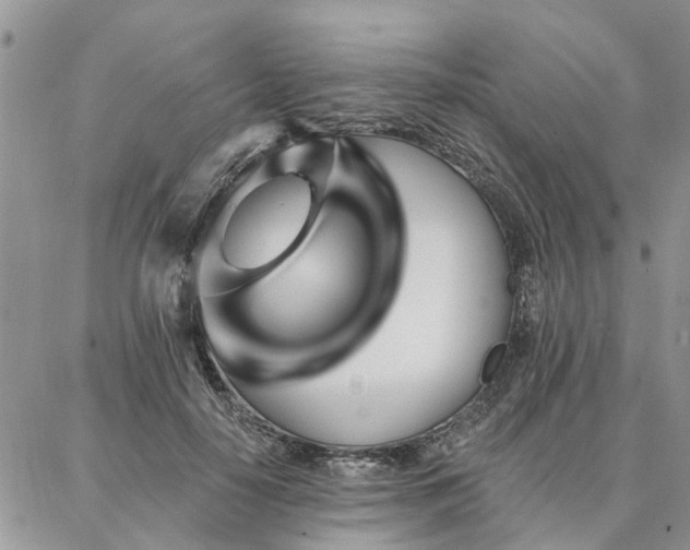 X0000087350650200704201123