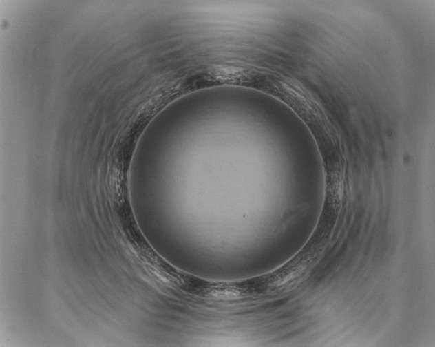 X0000087350653200704201123