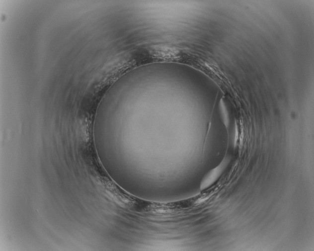 X0000087350658200704201123