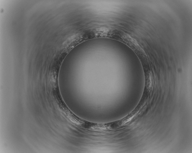 X0000087350661200704201123