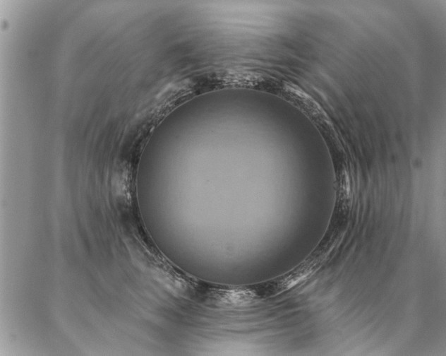 X0000087350663200704201123