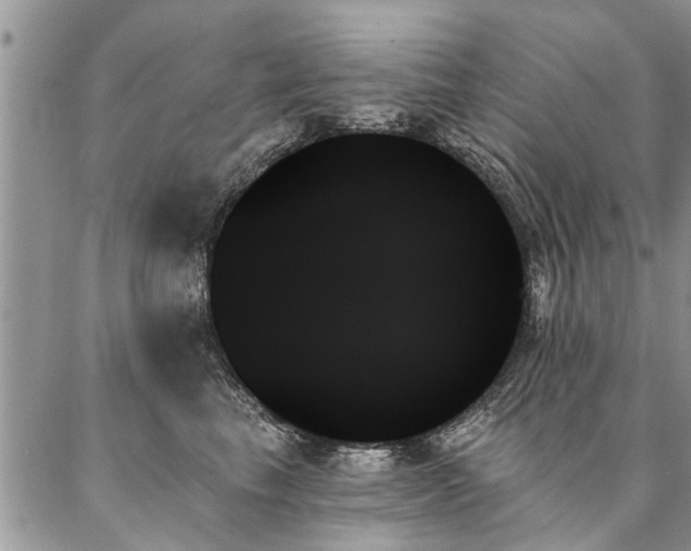 X0000087350665200704201123