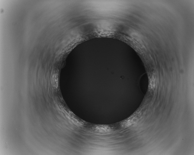 X0000087350666200704201123
