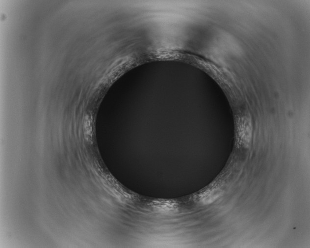 X0000087350667200704201123