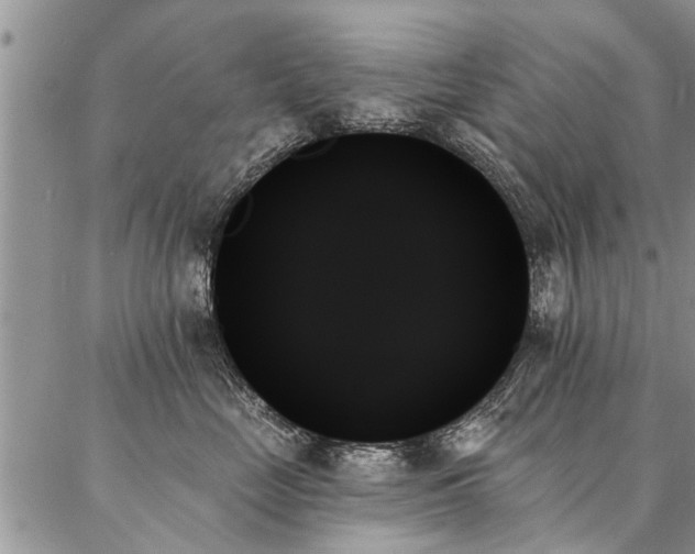 X0000087350669200704201123