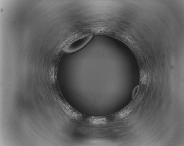 X0000087350670200704201123