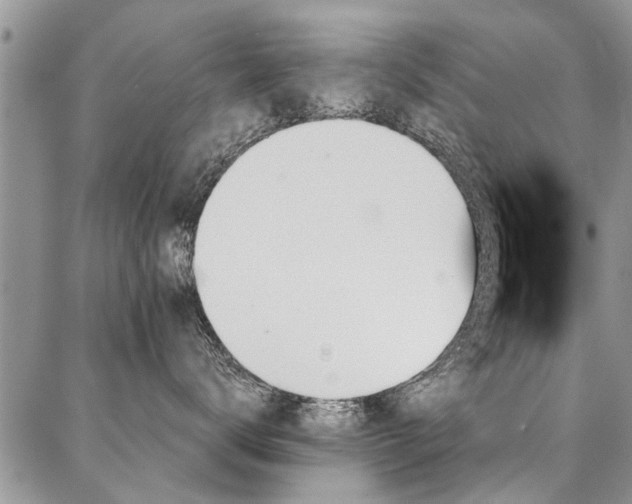 X0000087350672200704201123