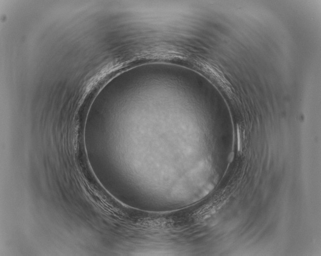 X0000087350675200704201123