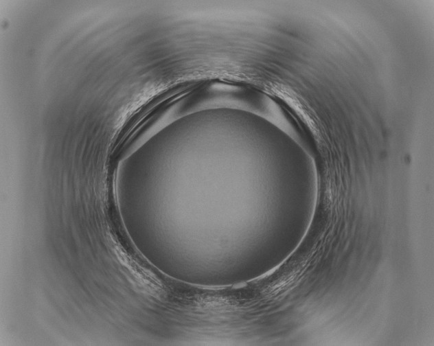 X0000087350677200704201123
