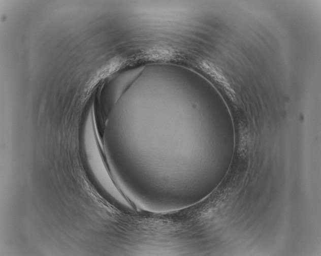 X0000087350681200704201123