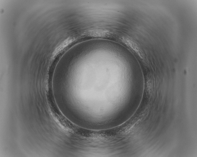 X0000087350682200704201123