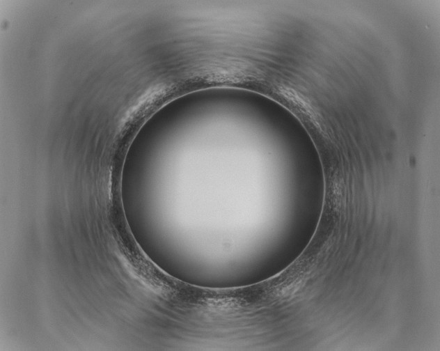 X0000087350686200704201122