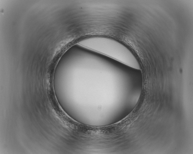 X0000087350688200704201122
