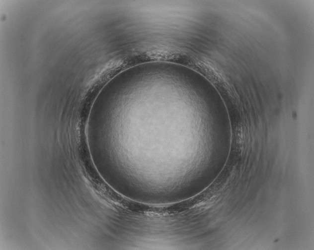 X0000087350690200704201122