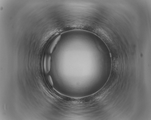 X0000087350692200704201122