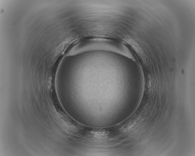 X0000087350693200704201122