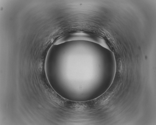 X0000087350697200704201122