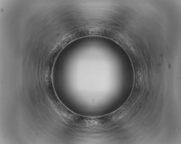 X0000087350698200704201122