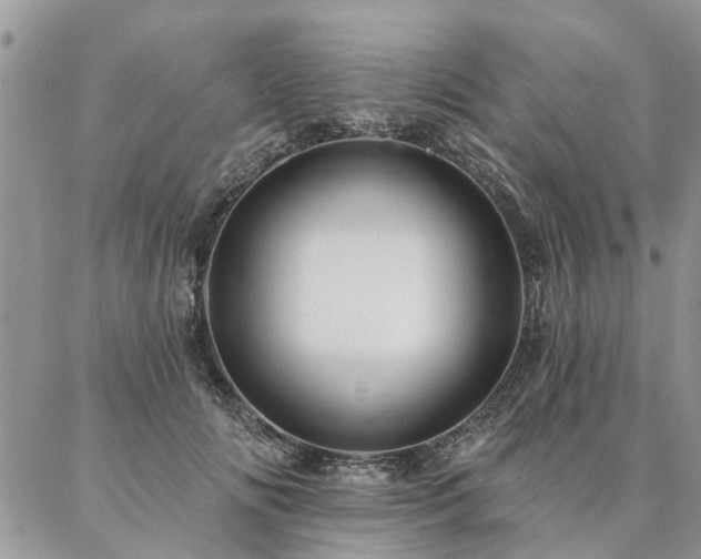 X0000087350702200704201122