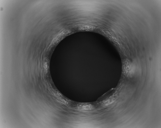 X0000087350716200704201122