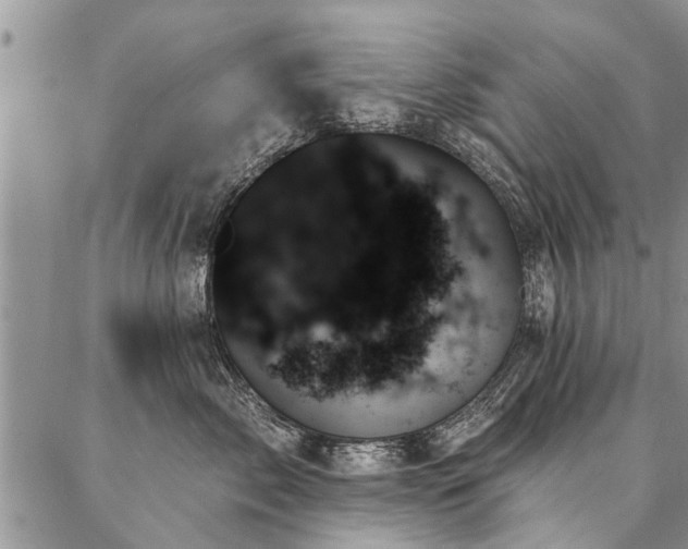 X0000087350717200704201122