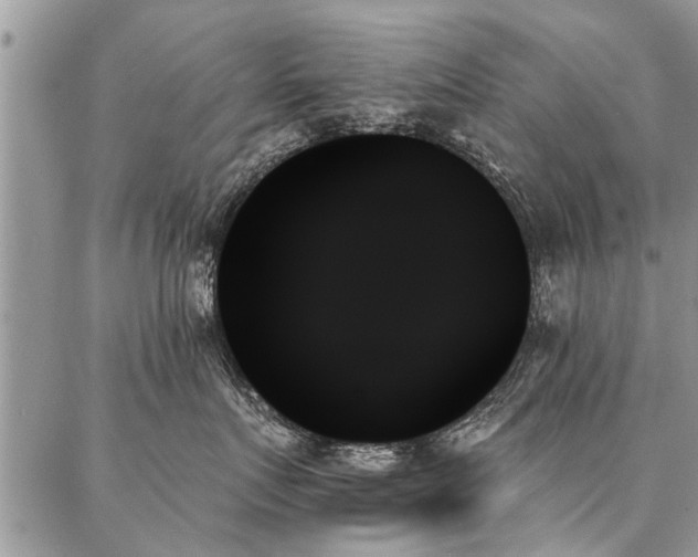 X0000087350719200704201122