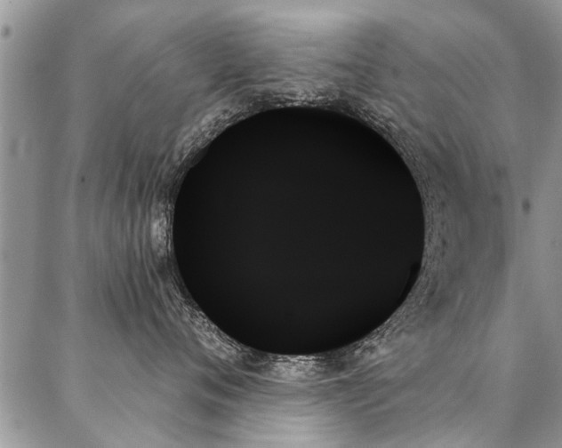 X0000087350720200704201122