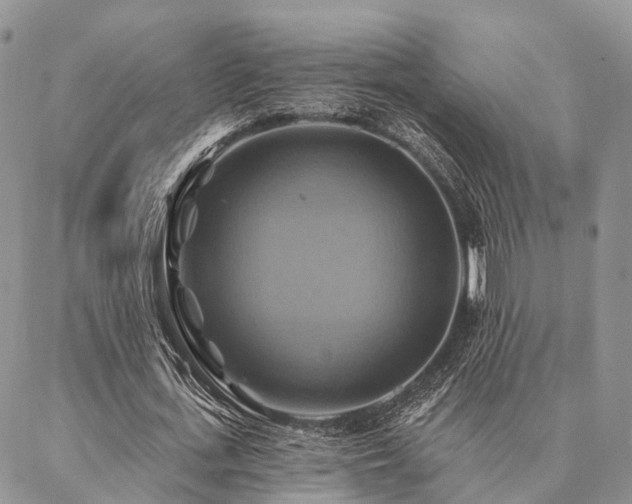 X0000087350723200704201121