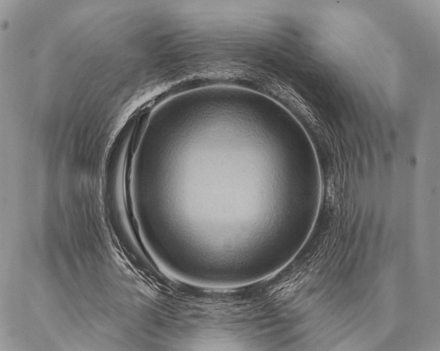 X0000087350724200704201121