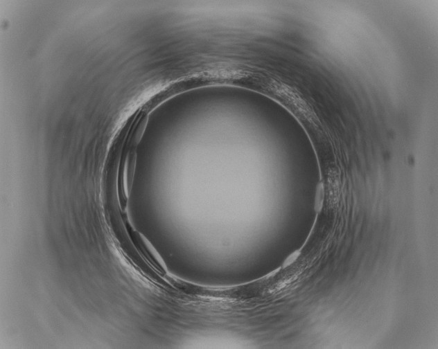 X0000087350726200704201121