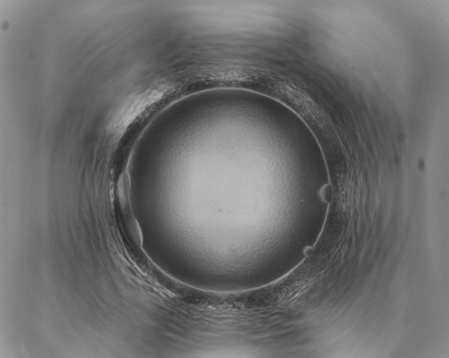 X0000087350731200704201121