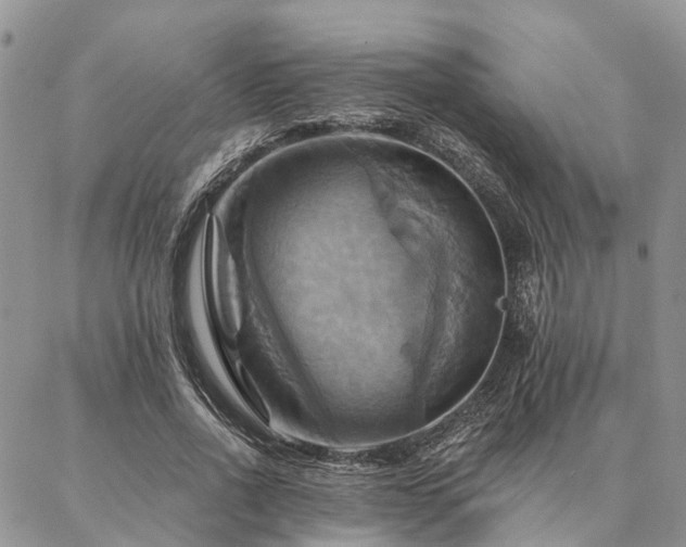 X0000087350734200704201121