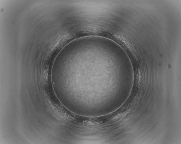 X0000087350739200704201121