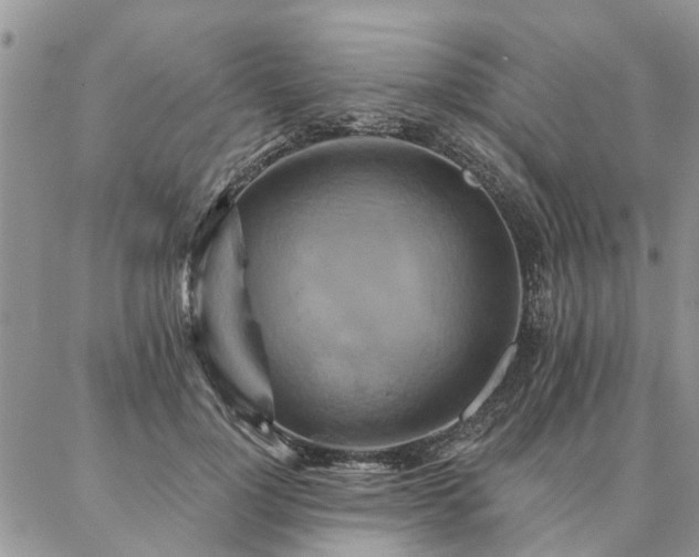 X0000087350748200704201122