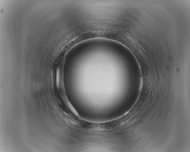 X0000087350750200704201122