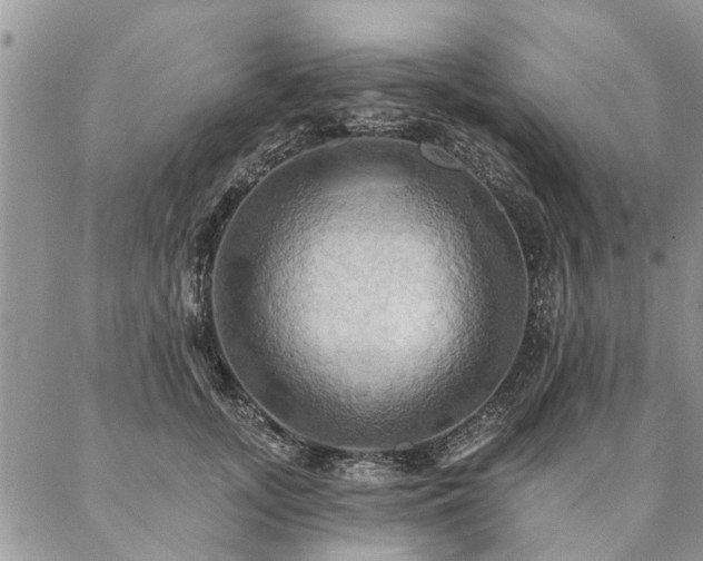 X0000087350755200704201122