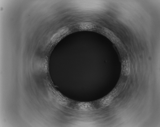 X0000087350762200704201122