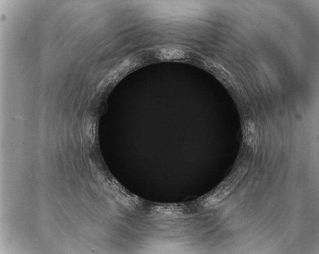 X0000087350763200704201122