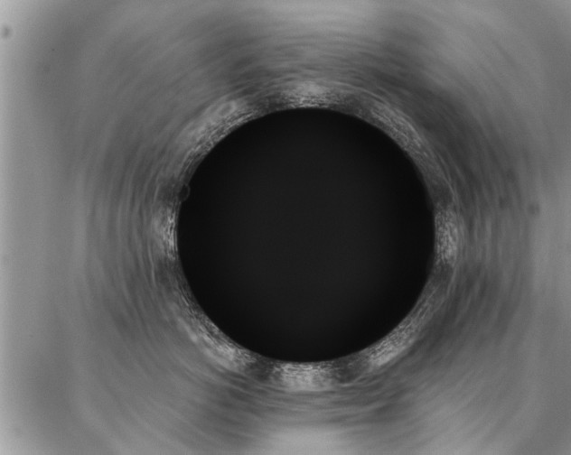 X0000087350766200704201122