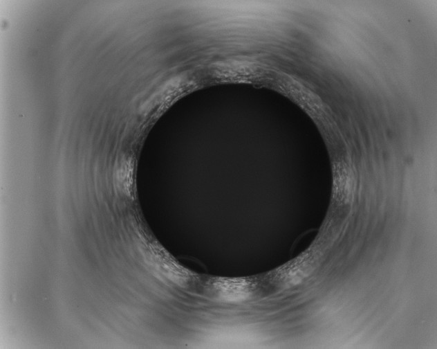 X0000087350767200704201122